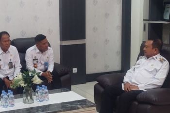 Pasangkayu maksimalkan potensi SDA guna menunjang kebutuhan IKN