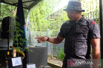 BNN dan Bea Cukai sita satu kilogram ganja