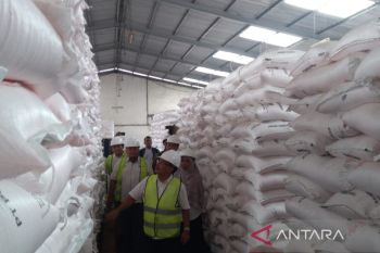 Pupuk Indonesia pastikan stok pupuk subsidi di Klaten aman
