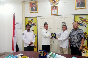 Plh Gubernur Papua Ridwan harap kunjungan DEN percepat penyusunan RUED