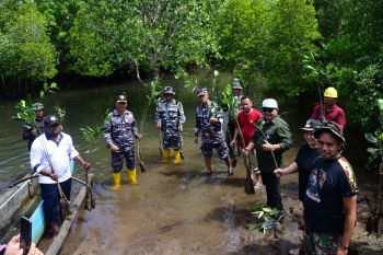 Lantamal VIII tanam mangrove di Desa Palaes Minahasa Utara