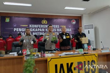 Polisi bongkar praktik budidaya kawin silang ganja dari Belanda