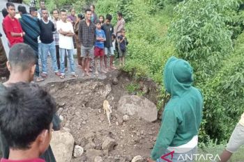 BPBD Ende imbau camat pantau lokasi rawan bencana