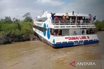 Kapal Dumai Line 9 rute Karimun - Selatpanjang tabrak hutan bakau di Perairan Meranti
