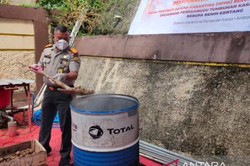 Sebanyak 600 kilogram kentang dan enam ayam dimusnahkan