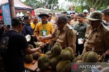 Pengembangan sektor pertanian percepat pembangunan