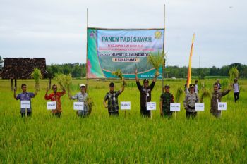 Dinas Pertanian Gunungkidul siap cetak petani milenial