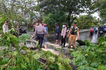 BPBD Mataram mengimbau masyarakat waspada cuaca ekstrem