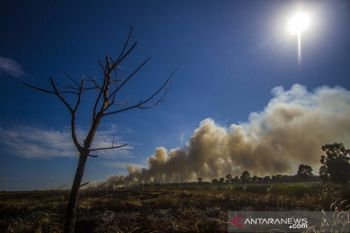 Pemprov Kalsel kolaborasi kesiapan personel cegah karhutla