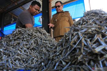 FOTO - Sidak Pasar di Aceh Barat