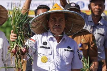 Pemprov Riau mendukung ketahanan bawang merah di wilayahnya