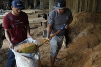 PLN NTB: Penggunaan biomassa untuk PLTU menggerakkan ekonomi UMKM
