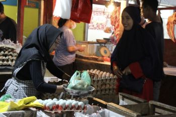 BI: Perekonomian Lampung triwulan IV 2022 tumbuh positif