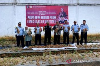 Lapas Bukittinggi panen bawang merah