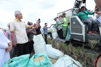 Gubernur Ganjar  ajak petani milenial tingkatkan produksi padi