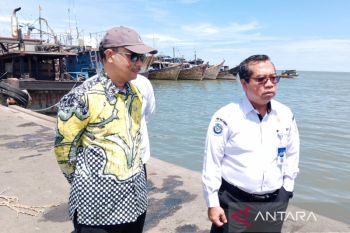 Pemda DIY mempelajari strategi pengembangan pelabuhan ikan di Belawan