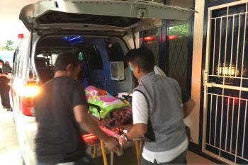 Tertimpa pohon kelapa, dua orang meninggal dunia