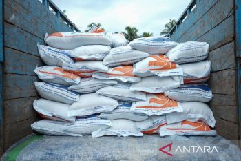 Sumbar salurkan 75,8 ton beras kepada korban banjir Padang Pariaman