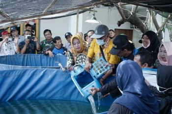 Wali Kota Mojokerto canangkan Karanglo jadi Kampung Lele