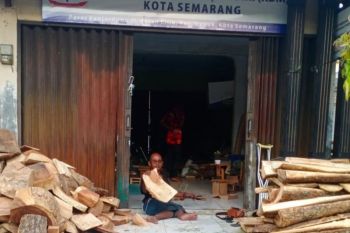 Tranformasi digital, peluang dan tantangan UMKM