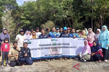 PT Timah - Pokdarwis tanaman 3.000 pohon di objek wisata
