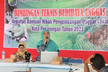 Pemkot Pekalongan fasilitasi pengembangan budidaya unggas lokal ke kelompok peternak