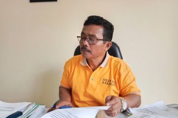 Pemkab Agam usulkan peremajaan kelapa sawit 300 hektare