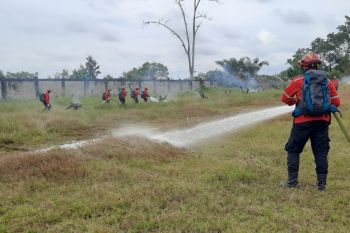 Ramai-ramai cegah karhutla di Riau