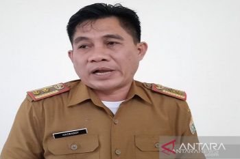 Disnakertrans Sulawesi Tenggara minta perusahaan mengutamakan K3