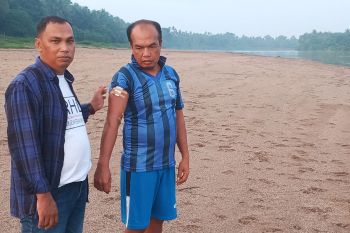 Warga diminta berbagi ruang dengan buaya di Sungai Kuantan