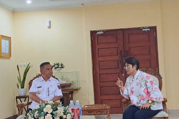 DPR penuhi janji listrik di tiga wilayah menyala 24 jam