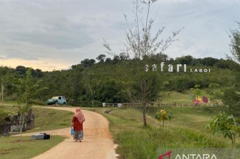 Bisnis pariwisata di Bintan kembali bangkit pasca pandemi