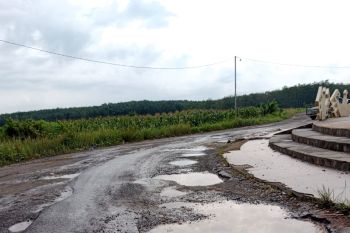 LBH Nasional: Bupati harus prioritaskan perbaikan jalan rusak