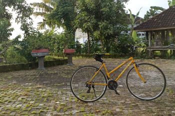 Pemkab Lombok Tengah meluncurkan program bersih rumah