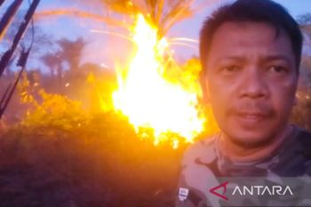 Karhutla di Natuna berhasil dipadamkan oleh tim gabungan