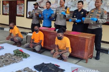 Polisi tangkap tiga warga PNG membawa 11 kg ganja di perbatasan RI-PNG