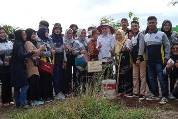 Pemkot Palembang-Universitas Tridinanti tanam 2.100 pohon penghijauan di kawasan kolam retensi