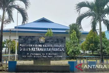 Pemprov pastikan komoditas pangan di Sultra aman hingga jelang Ramadan