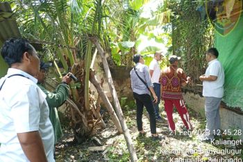 BKSDA dan Polres Situbondo sita elang bondol