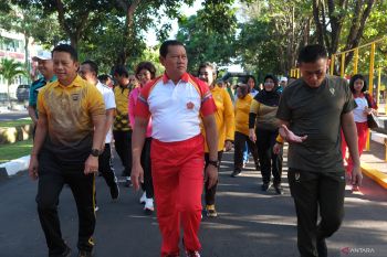 Pembebasan pilot Susi Air utamakan persuasif, kata Panglima TNI