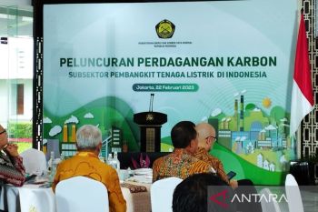 Perdagangan karbon perlu diikuti pengetatan batas atas emisi