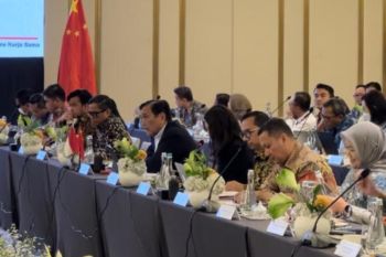 Indonesia dan China perkuat kerja sama investasi lewat forum kemitraan bisnis