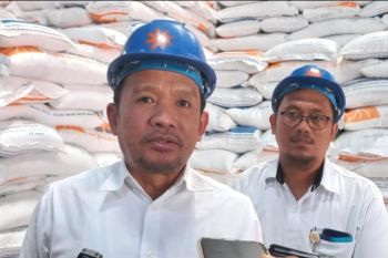 Perum Bulog Papua sebut beras impor Vietnam 800 ton telah tiba