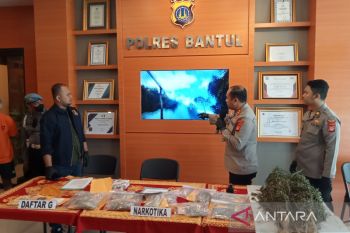 Polres Bantul dan Polres Gayo Lues musnahkan 30 ribu pohon ganja di Aceh