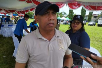 Diskominfo Papua Barat fokus "blank spot"