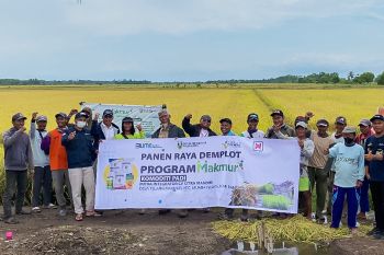 PT Pusri sebut program agrosolution solusi tepat tingkatkan hasil tani