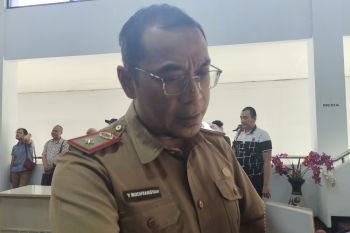 Dishut Lampung dorong penanaman mangrove Rhizophora