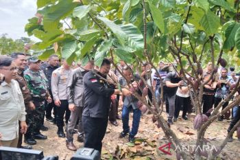 Mentan sebut Tanaman perlu perlakukan khusus untuk hasilkan maksimal