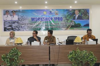 Pemprov Sulsel dorong kabupaten/kota ciptakan proyek investasi
