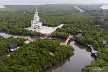 Cara Menuju Hutan Mangrove Kuala Langsa spot travel menarik di Aceh